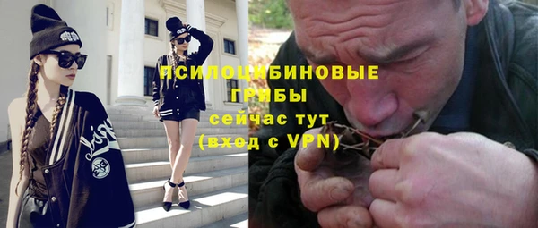 молекула духа Семикаракорск