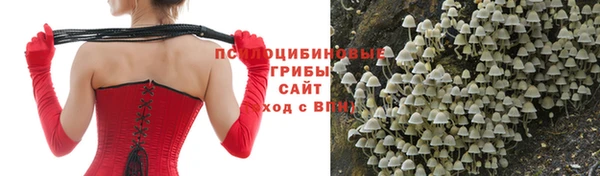 хмурый Костерёво