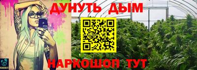 ECSTASY Бийск
