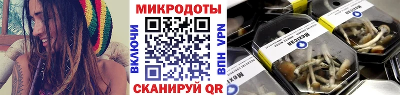 Псилоцибиновые грибы Cubensis  закладка  Карталы 