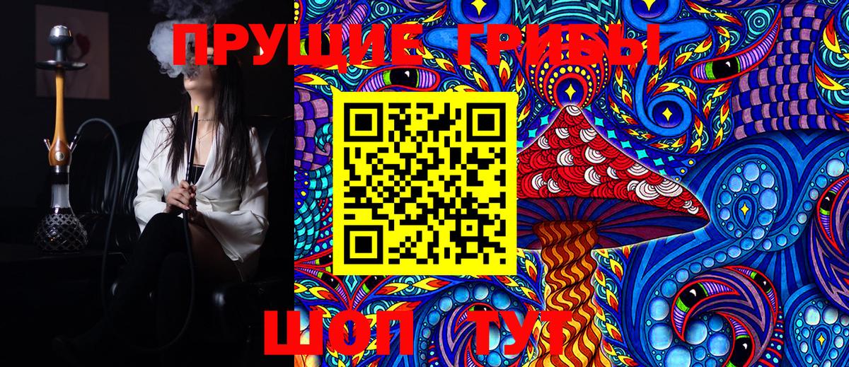 Псилоцибиновые грибы Cubensis  Вход с VPN  Карталы 